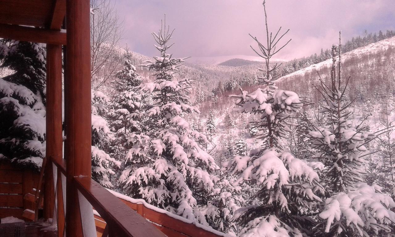 Konopka Guest House Bukovel Extérieur photo